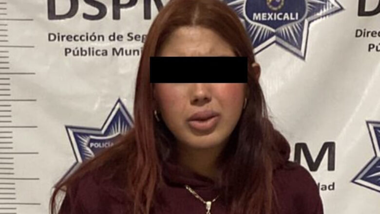 Por espiar auto ajeno cae pareja tras las rejas 
